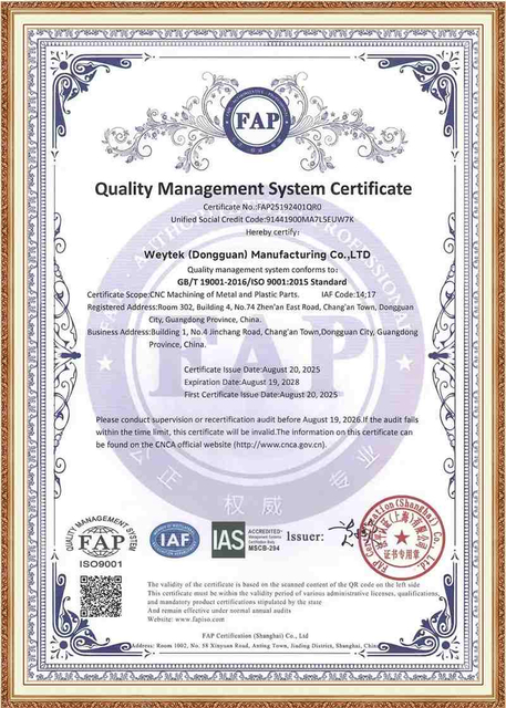 certificado-01